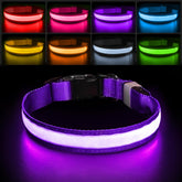 PcEoTllar collar iluminado para visibilidad nocturna.