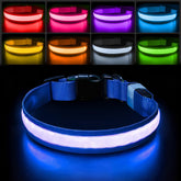 PcEoTllar collar luz nocturna para paseos seguros