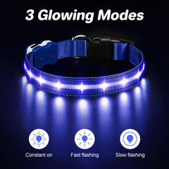 PcEoTllar collar luminoso con modo parpadeo para paseos nocturnos.