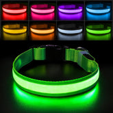 PcEoTllar collar luminoso para perros, mejora la visibilidad nocturna.