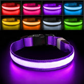 PcEoTllar collar LED noche, mejora la visibilidad durante paseos nocturnos.
