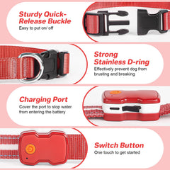 PcEoTllar collar luminoso rojo para perros, uso nocturno recomendado.
