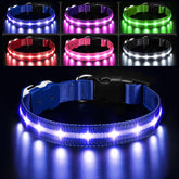 PcEoTllar collar para perro, luz azul encendida, mejora visibilidad nocturna.