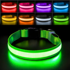 PcEoTllar collar perro luz LED para mayor visibilidad nocturna