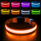 PcEoTllar collar perro luz de siete colores mejora la visibilidad nocturna al pasear.