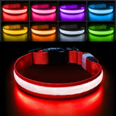 PcEoTllar collar iluminado con siete colores mejora visibilidad.