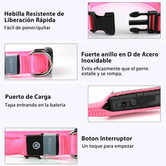 PcEoTllar collar-perro-resistente-agua ideal para juegos al exterior