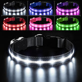 PcEoTllar collar led, luz brillante para paseos nocturnos.