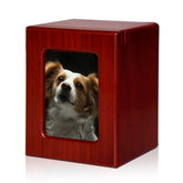 PCS Pet Urn para perros con marco de foto en la frente para exhibir la memoria