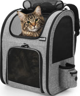 Mochila Pecute para gato con ventanas de malla amplias para buena ventilación.