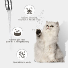 PEKTACO conjunto de filtros para gatos: repuestos para mantener el agua limpia.