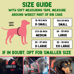Pelto placa de identificación para perro: metal duradero, grabado a dos caras.