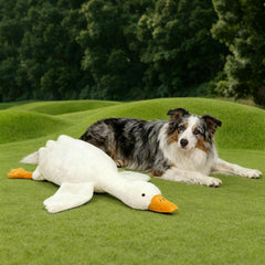 Peluche Pato Durable para Perro, resistente a masticación suave.