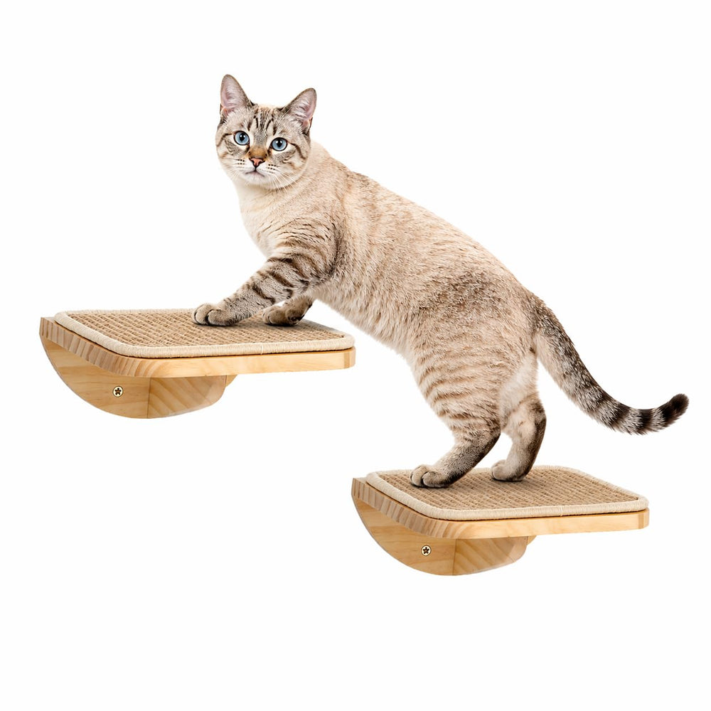 PELUMOZ escalones de pared para gatos cuadrados, soporte seguro para trepar y descansar.