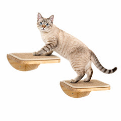 PELUMOZ escalones de pared para gatos cuadrados, soporte seguro para trepar y descansar.