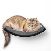 Peluomoz hamaca-curva para gato montada en pared, elevación segura para observar y descansar.