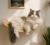PELUMOZ cama-muro curva: descanso elevado cómodo para gatos grandes.