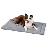 PELZIN Cybarmour: cama para perro mordidas-resistente, ideal para perros agresivos en casa