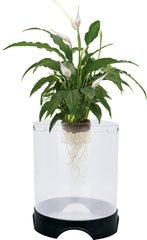 Penn-Plax acuapónico con planta superior para ambiente simbiótico.