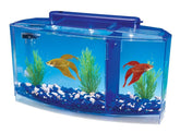 Penn-Plax Deluxe Triple Betta Tank, tanque bow front para tres bettas, diseño seguro.