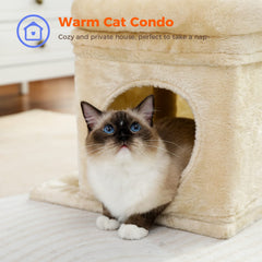 PEQULTI Cat Tree percha superior amplia para dos gatitos.
