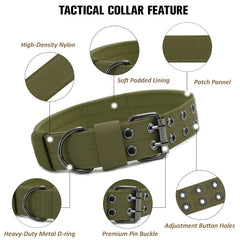 Periflowin collar con hebilla de metal verde, ajuste seguro de cinco puntos