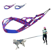 Arnés PET ARTIST para cuello cómodo con ajuste preciso y entrenamiento diario.