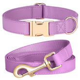 Collar PET ARTIST de PU sintético brillante para paseos cómodos.