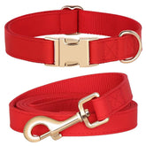 PET ARTIST collar rojo general, estilo llamativo para paseos diarios.