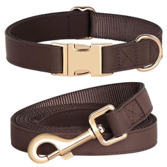 PET ARTIST conjunto collar y correa con colores brillantes para paseos con estilo