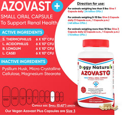Azovast Plus: etiqueta de cápsulas, cuatro probióticos beneficiosos para la función renal.