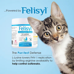 Pet Health Solutions Felisyl L-Lisina: sabor a salmón que atrae a los gatos