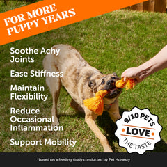 Pet Honesty aceite de canamo y polvo para perros, mejora movilidad.