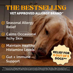 Pet Honesty Allergy Skin Health primer plano de textura, calma irritaciones cutáneas.