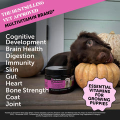 Pet Honesty multivitamin puppy treats, envase y etiqueta claros, facilitan entender los beneficios