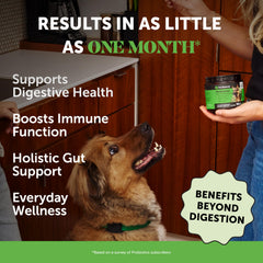 Pet Honesty probióticos para perros: masticables sabrosos que favorecen la regularidad.
