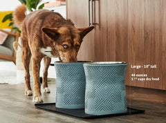 Pet Junkie Santa Fe: diseño moderno con patrón geométrico que realza la decoración