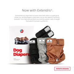 Extendrs de Pet Parents ajuste extra para perros activos