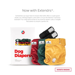 Extendrs de Pet Parents para ajuste extra, mejor comodidad y fijación segura.