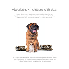 Núcleo absorbente WickQuick de Pet Parents mantiene al perro seco