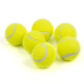 Pelotas tenis Pet Prime de 2 pulgadas para juego interactivo al aire libre