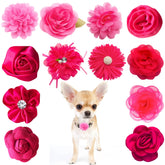 PET SHOW flores rosadas para collar, adorno suave que realza la apariencia de tu mascota.