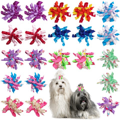 PET SHOW lazo para perro colores variados para uso diario
