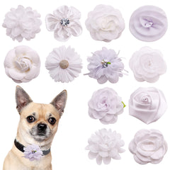 PET SHOW lazos para collar blanco, realzan elegancia en paseos.