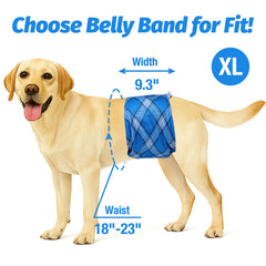 Interior absorbente de las bandas Pet Soft para perro macho.