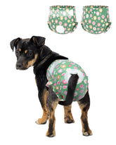Pet Soft panales femeninos con ajuste de cintura para comodidad diaria.