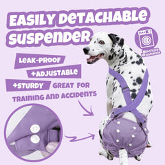 Pañales Pet Soft con capa impermeable para evitar filtraciones.