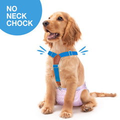 Pet Soft suspensor con ajuste en tres tallas para un ajuste perfecto.