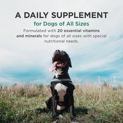 Perro feliz recibiendo Pet-Tabs Plus como complemento diario.