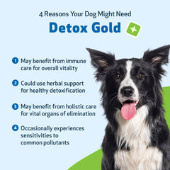 Pet Wellbeing Detox Gold, etiqueta visible que transmite calidad.